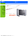 Philips Flat Panel Television 320WN6QS owners manual user guide