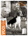 SportDOG Electric Pet Fence 100A owners manual user guide